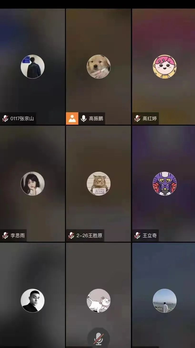 澳门金牌资料网