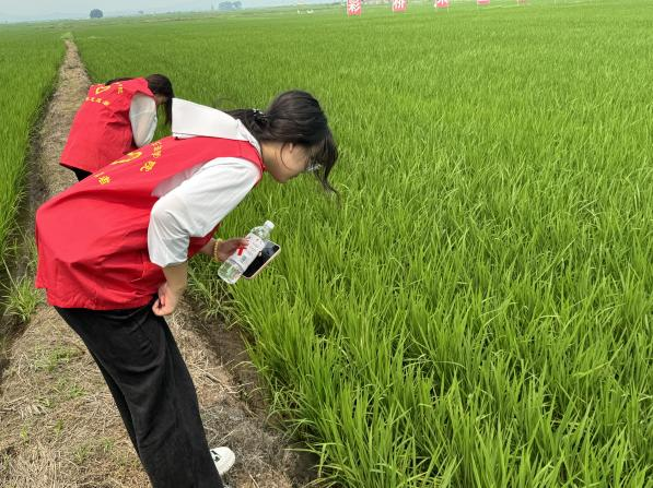 澳门金牌资料网